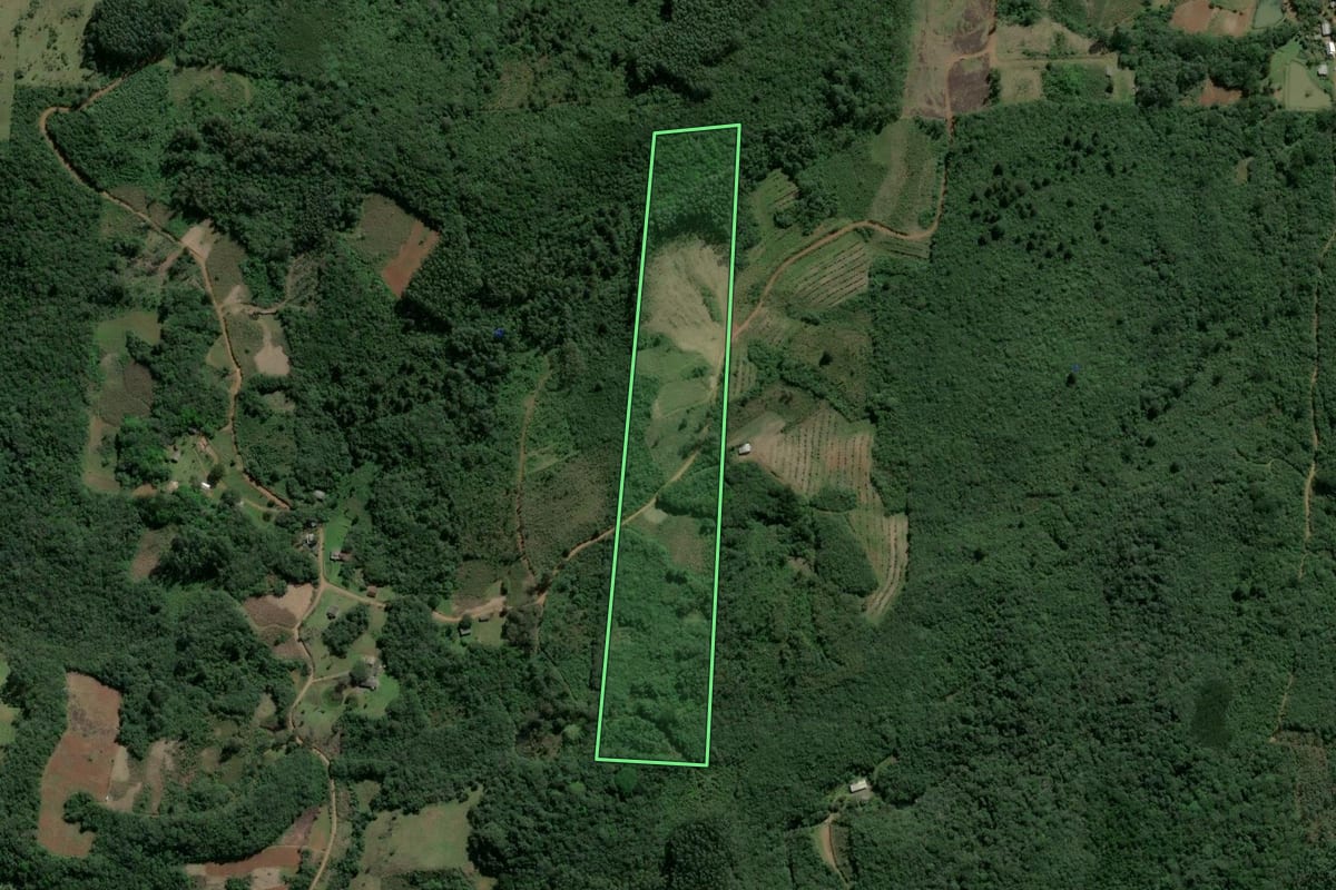 Imagem de satélite do imóvel rural em Caraá (RS), com o contorno declarado no CAR desenhado por cima.
