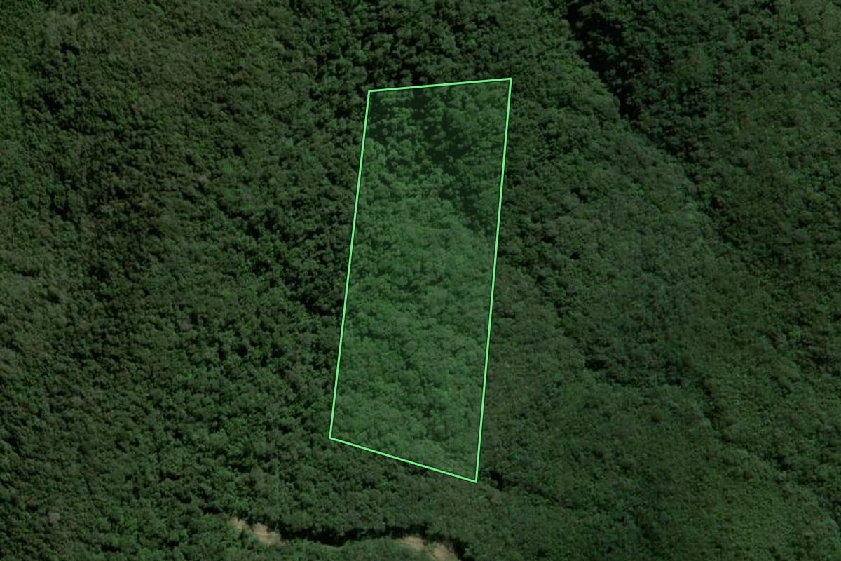 Imagem de satélite do imóvel rural em Caraá (RS), com o contorno declarado no CAR desenhado por cima.