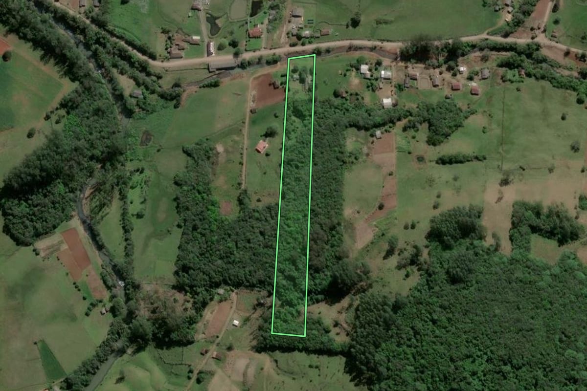 Imagem de satélite do imóvel rural em Caraá (RS), com o contorno declarado no CAR desenhado por cima.