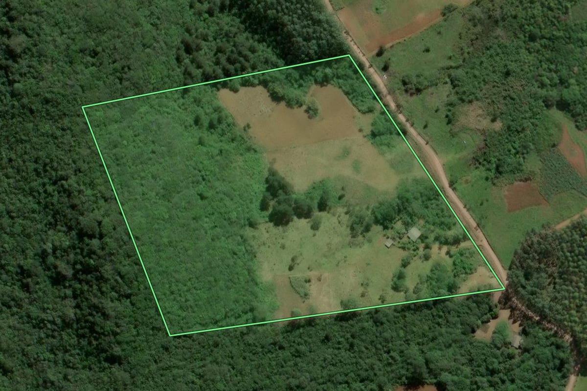 Imagem de satélite do imóvel rural em Caraá (RS), com o contorno declarado no CAR desenhado por cima.