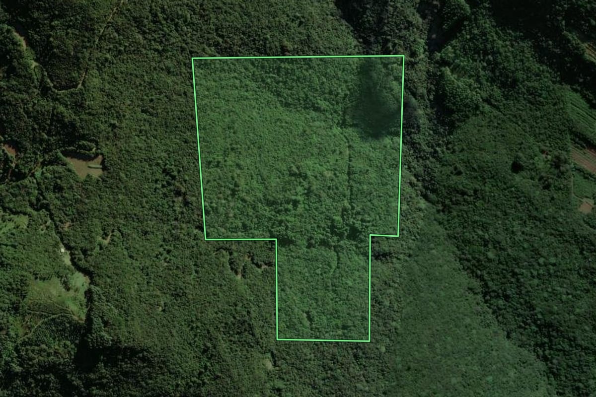 Imagem de satélite do imóvel rural em Caraá (RS), com o contorno declarado no CAR desenhado por cima.