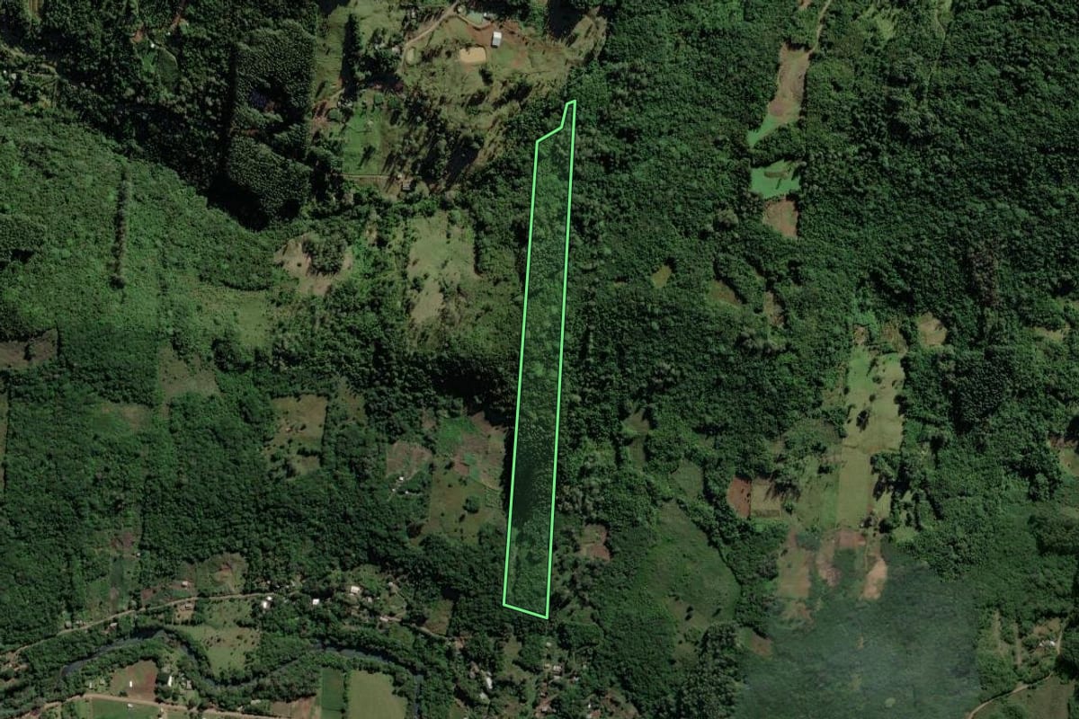 Imagem de satélite do imóvel rural em Caraá (RS), com o contorno declarado no CAR desenhado por cima.