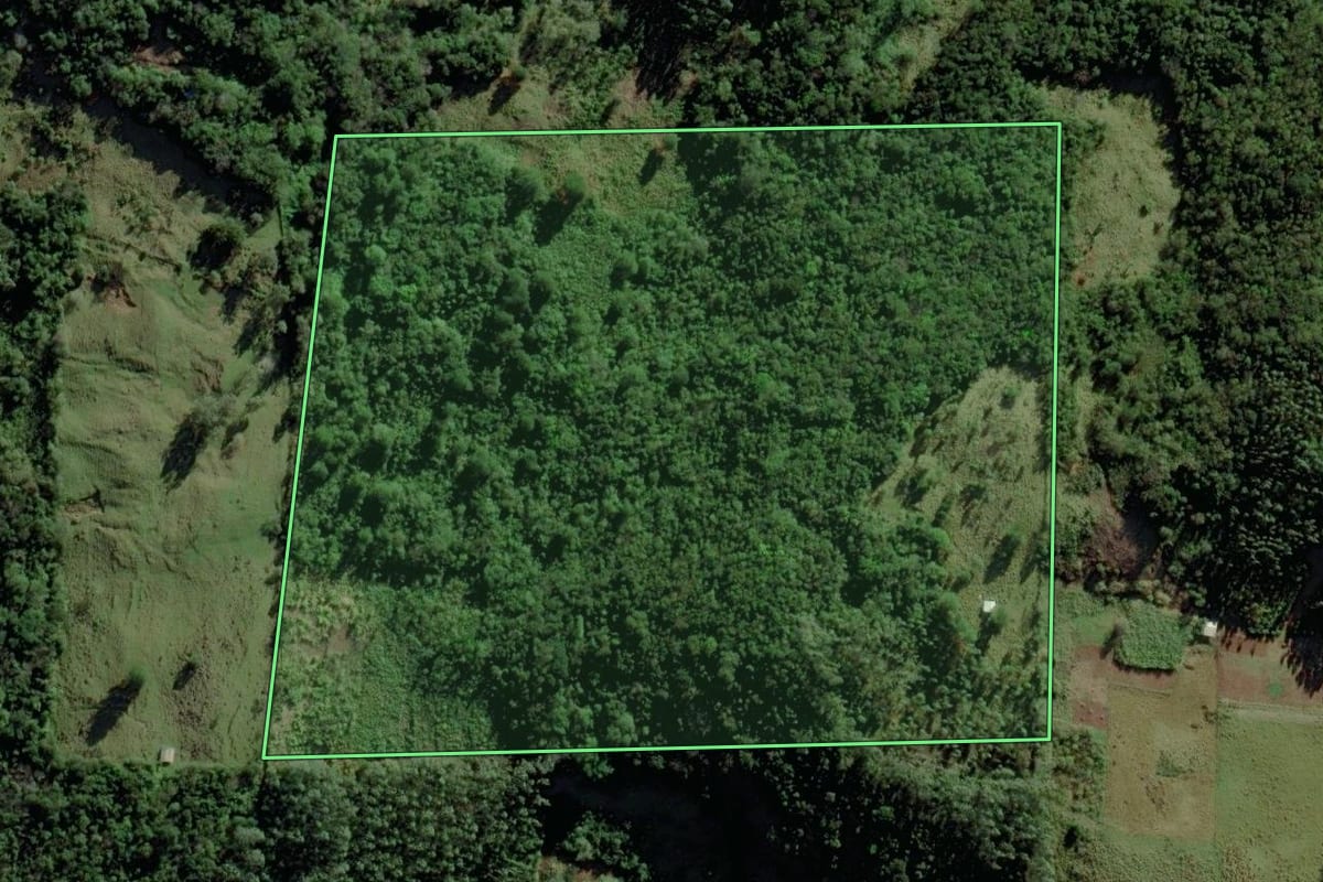 Imagem de satélite do imóvel rural em Caraá (RS), com o contorno declarado no CAR desenhado por cima.