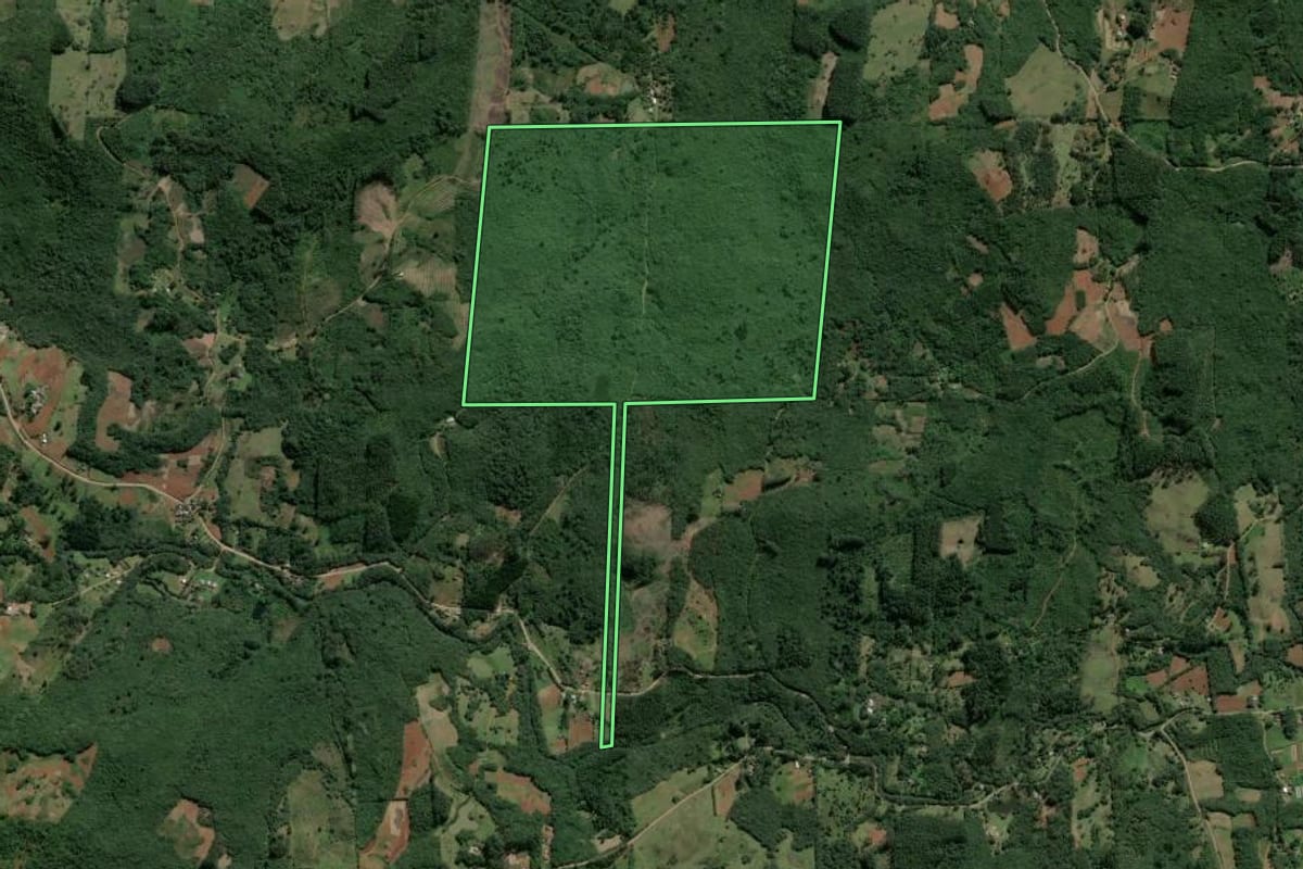 Imagem de satélite do imóvel rural em Caraá (RS), com o contorno declarado no CAR desenhado por cima.
