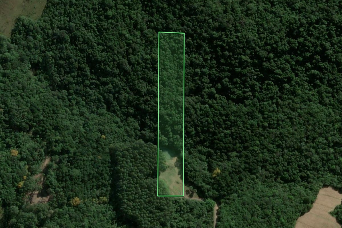 Imagem de satélite do imóvel rural em Carlos Barbosa (RS), com o contorno declarado no CAR desenhado por cima.
