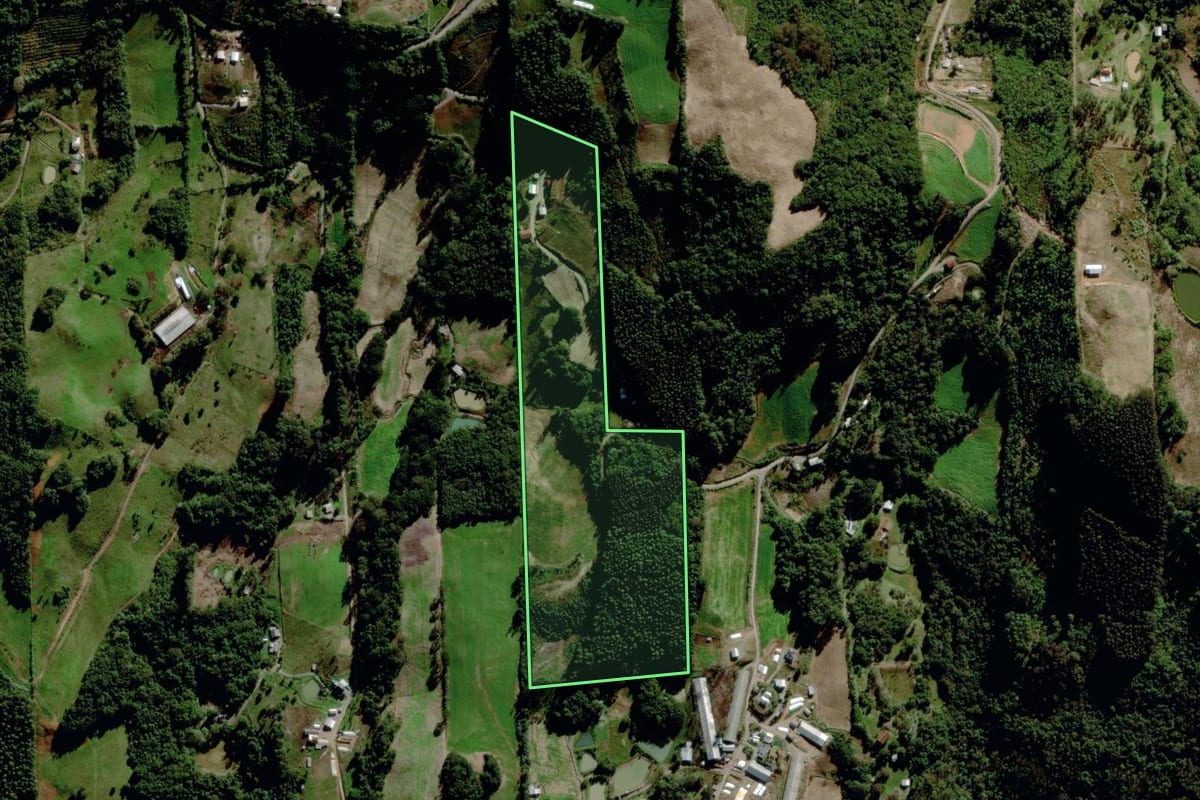 Imagem de satélite do imóvel rural em Carlos Barbosa (RS), com o contorno declarado no CAR desenhado por cima.