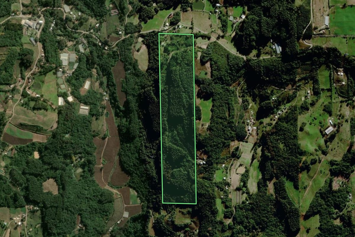 Imagem de satélite do imóvel rural em Carlos Barbosa (RS), com o contorno declarado no CAR desenhado por cima.