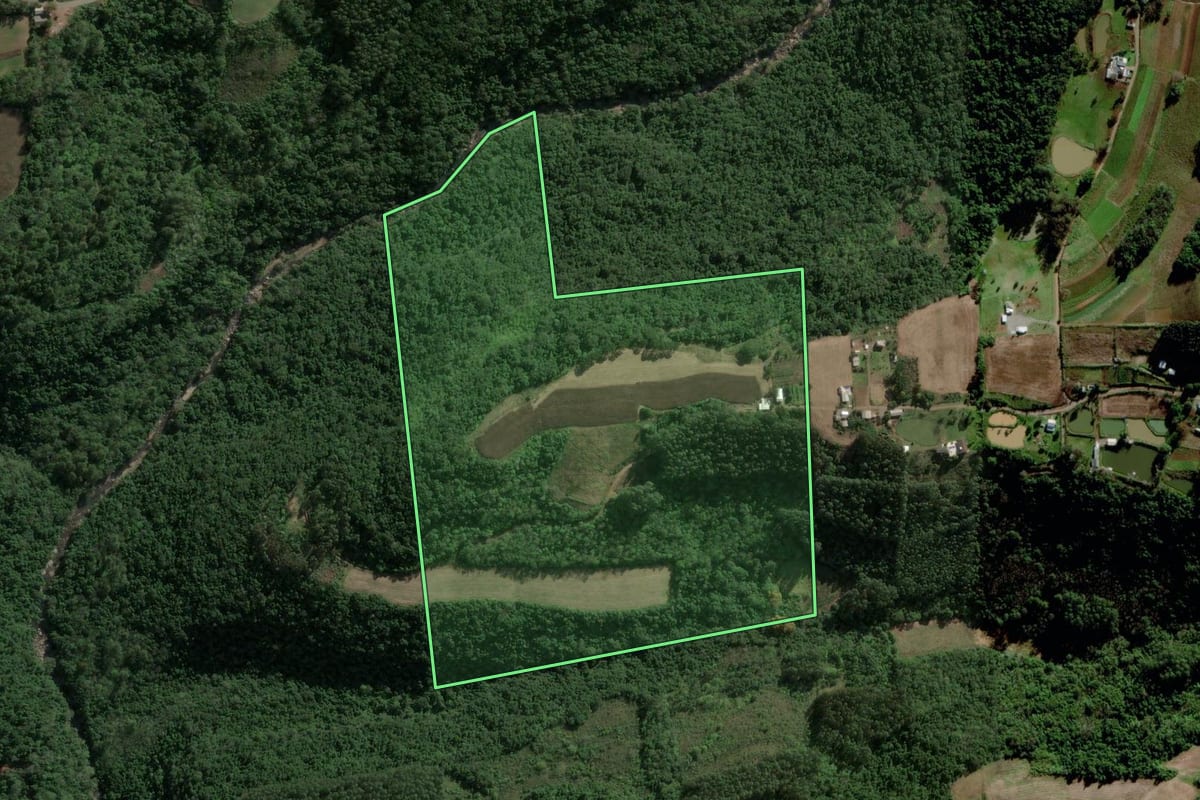 Imagem de satélite do imóvel rural em Carlos Barbosa (RS), com o contorno declarado no CAR desenhado por cima.