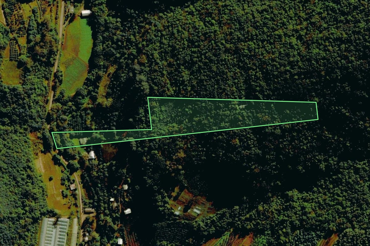 Imagem de satélite do imóvel rural em Carlos Barbosa (RS), com o contorno declarado no CAR desenhado por cima.