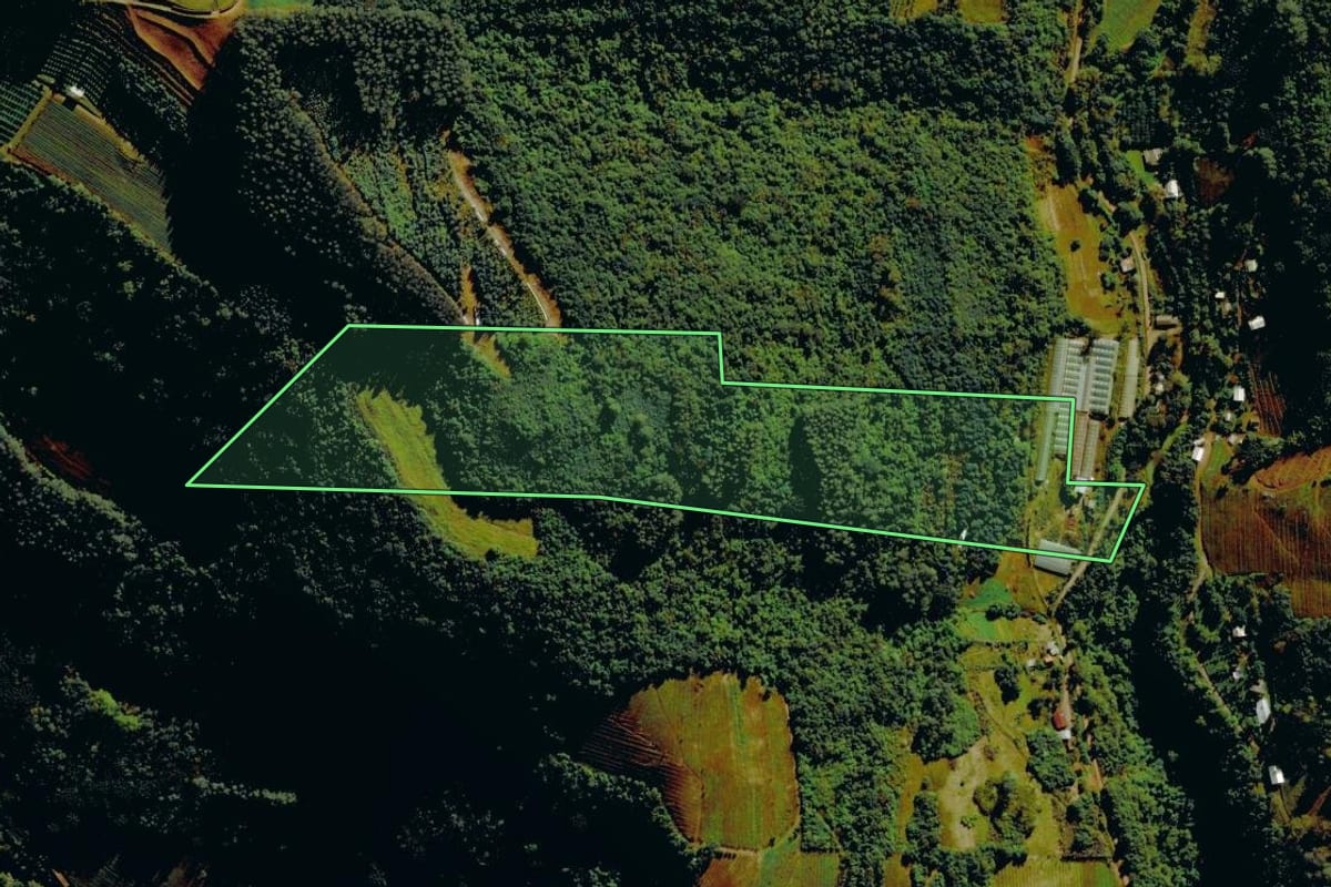 Imagem de satélite do imóvel rural em Carlos Barbosa (RS), com o contorno declarado no CAR desenhado por cima.