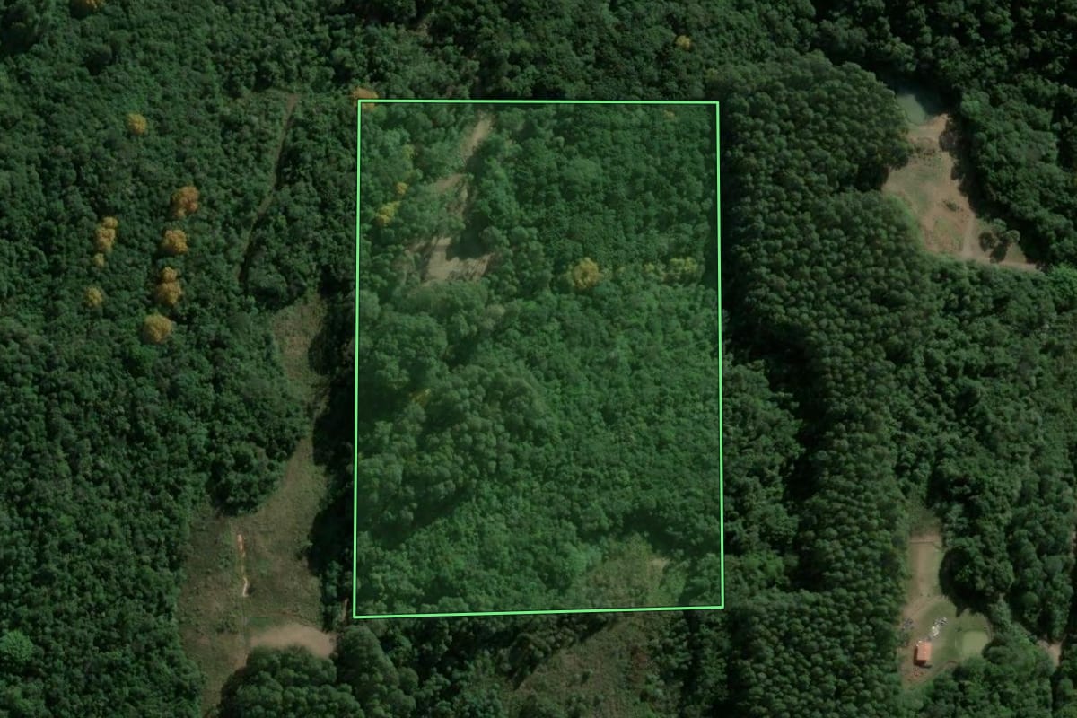 Imagem de satélite do imóvel rural em Carlos Barbosa (RS), com o contorno declarado no CAR desenhado por cima.