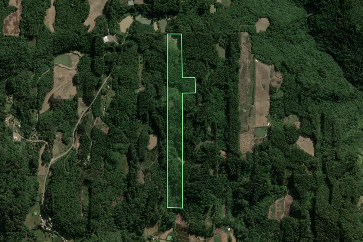 Imagem de satélite do imóvel rural em Carlos Barbosa (RS), com o contorno declarado no CAR desenhado por cima.