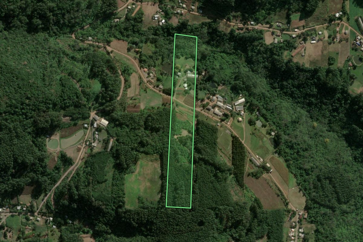 Imagem de satélite do imóvel rural em Carlos Barbosa (RS), com o contorno declarado no CAR desenhado por cima.