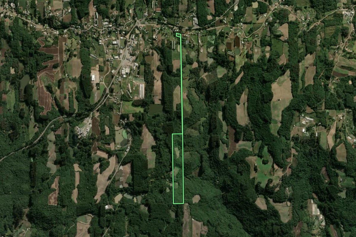 Imagem de satélite do imóvel rural em Carlos Barbosa (RS), com o contorno declarado no CAR desenhado por cima.