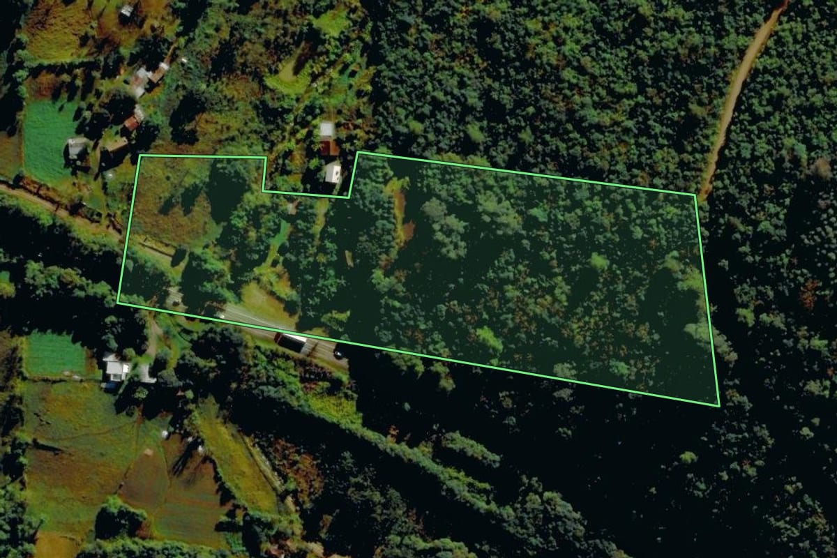 Imagem de satélite do imóvel rural em Carlos Barbosa (RS), com o contorno declarado no CAR desenhado por cima.