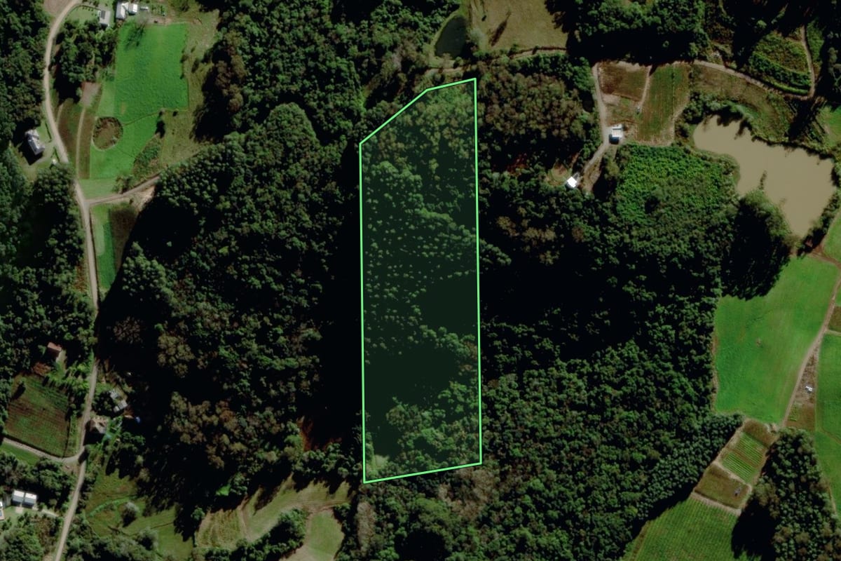 Imagem de satélite do imóvel rural em Carlos Barbosa (RS), com o contorno declarado no CAR desenhado por cima.