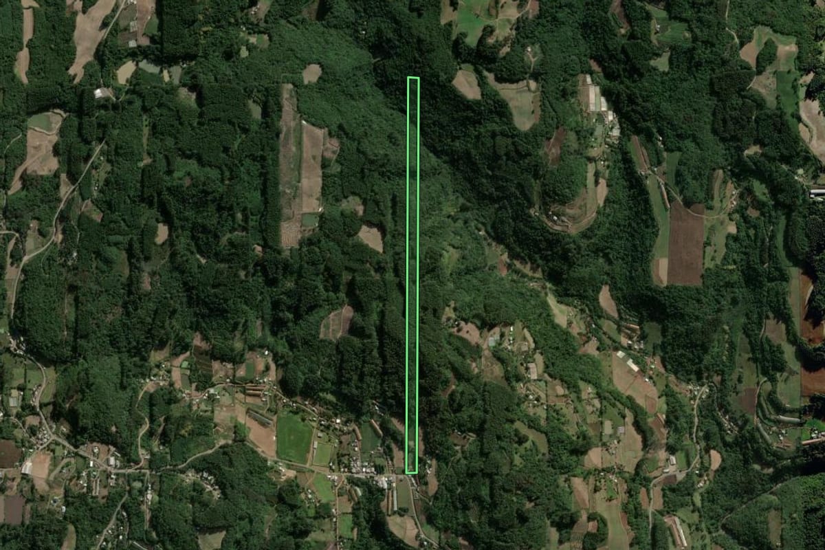 Imagem de satélite do imóvel rural em Carlos Barbosa (RS), com o contorno declarado no CAR desenhado por cima.