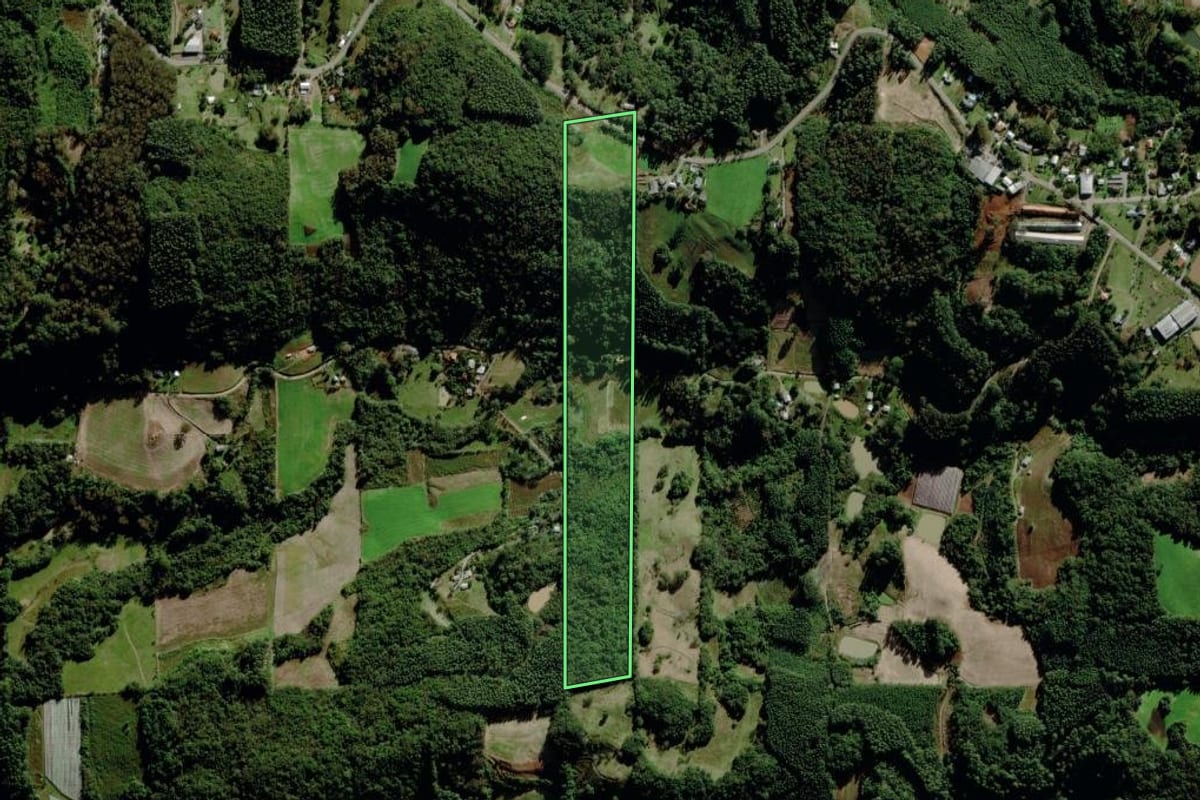 Imagem de satélite do imóvel rural em Carlos Barbosa (RS), com o contorno declarado no CAR desenhado por cima.