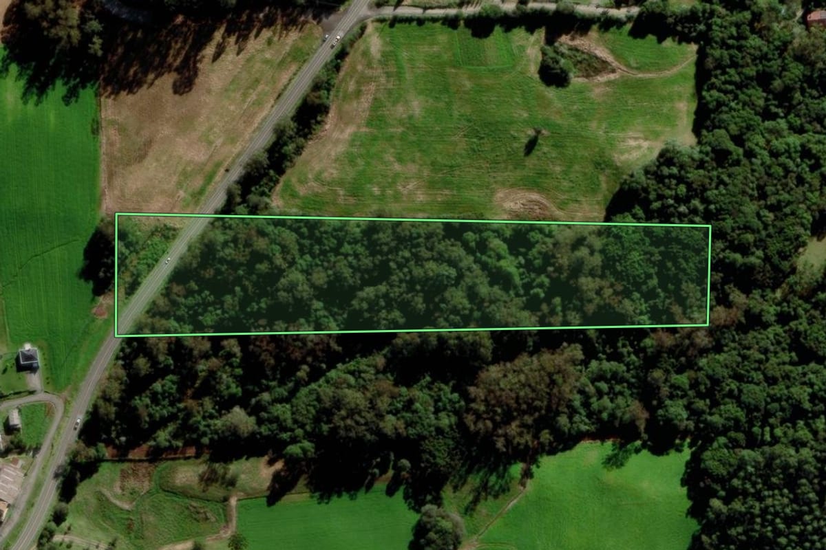 Imagem de satélite do imóvel rural em Carlos Barbosa (RS), com o contorno declarado no CAR desenhado por cima.