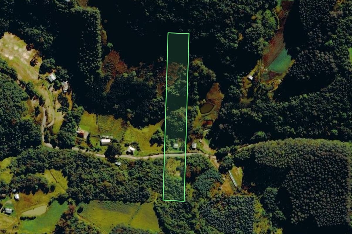 Imagem de satélite do imóvel rural em Carlos Barbosa (RS), com o contorno declarado no CAR desenhado por cima.
