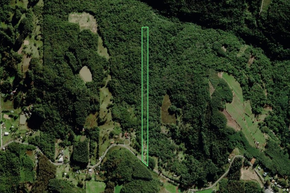 Imagem de satélite do imóvel rural em Carlos Barbosa (RS), com o contorno declarado no CAR desenhado por cima.