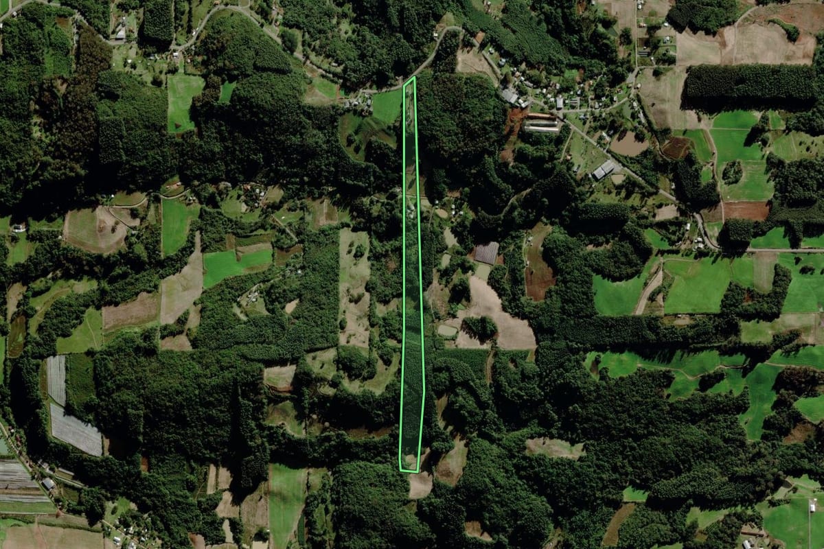 Imagem de satélite do imóvel rural em Carlos Barbosa (RS), com o contorno declarado no CAR desenhado por cima.