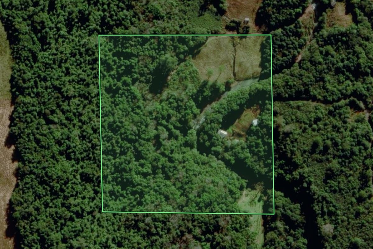 Imagem de satélite do imóvel rural em Carlos Barbosa (RS), com o contorno declarado no CAR desenhado por cima.