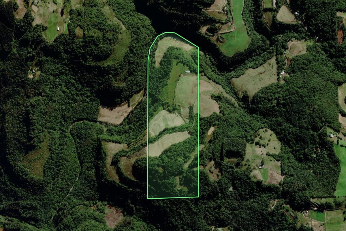 Imagem de satélite do imóvel rural em Carlos Barbosa (RS), com o contorno declarado no CAR desenhado por cima.