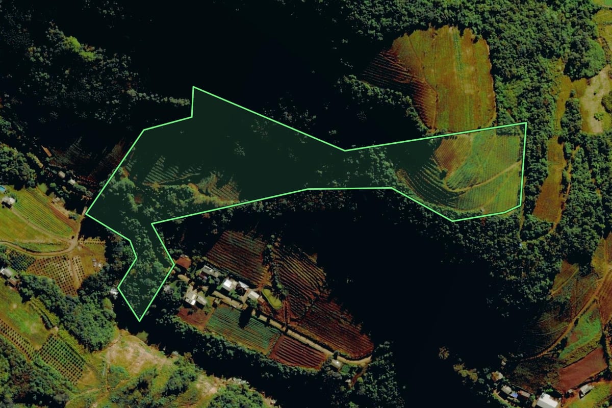 Imagem de satélite do imóvel rural em Carlos Barbosa (RS), com o contorno declarado no CAR desenhado por cima.