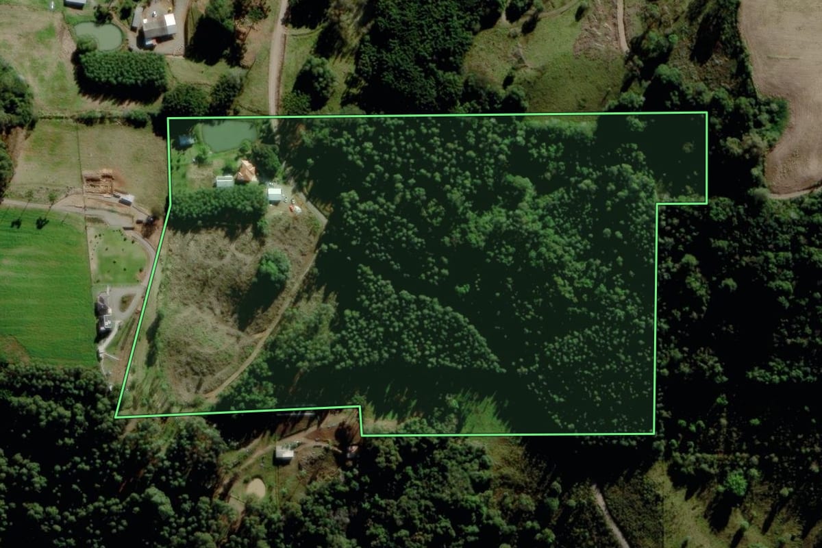 Imagem de satélite do imóvel rural em Carlos Barbosa (RS), com o contorno declarado no CAR desenhado por cima.