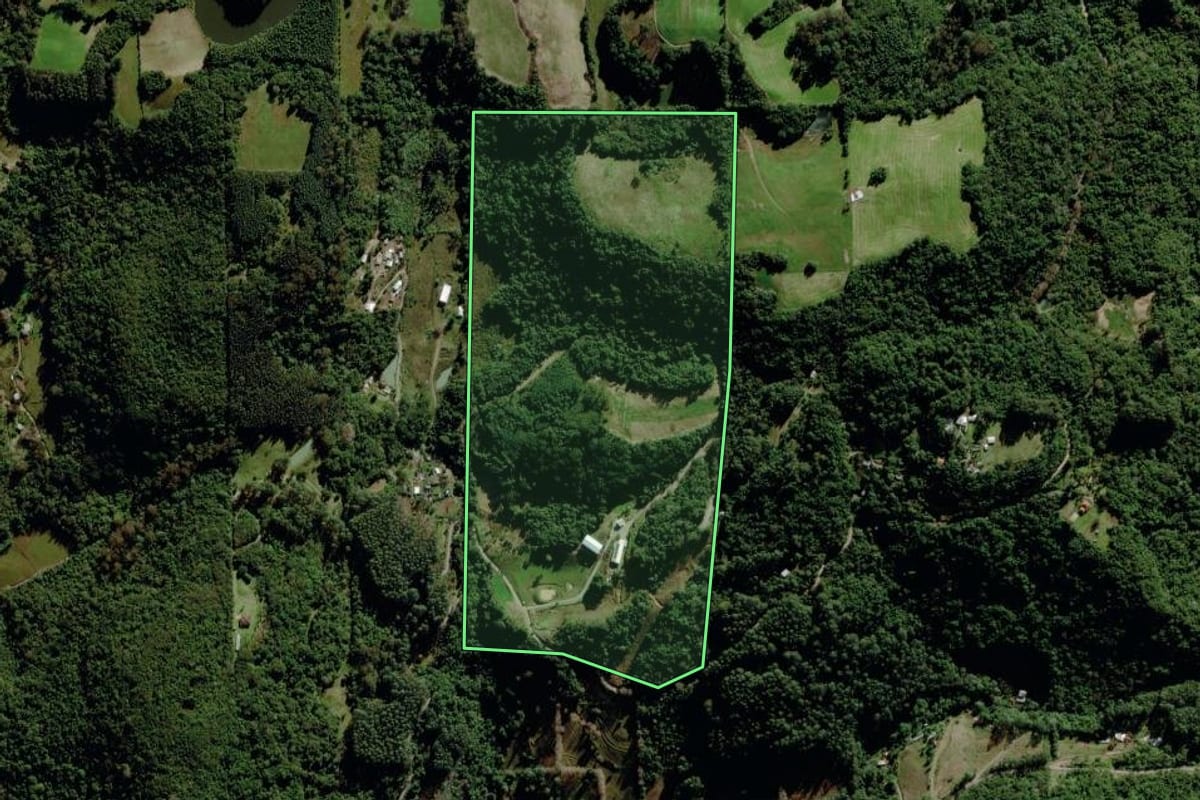 Imagem de satélite do imóvel rural em Carlos Barbosa (RS), com o contorno declarado no CAR desenhado por cima.
