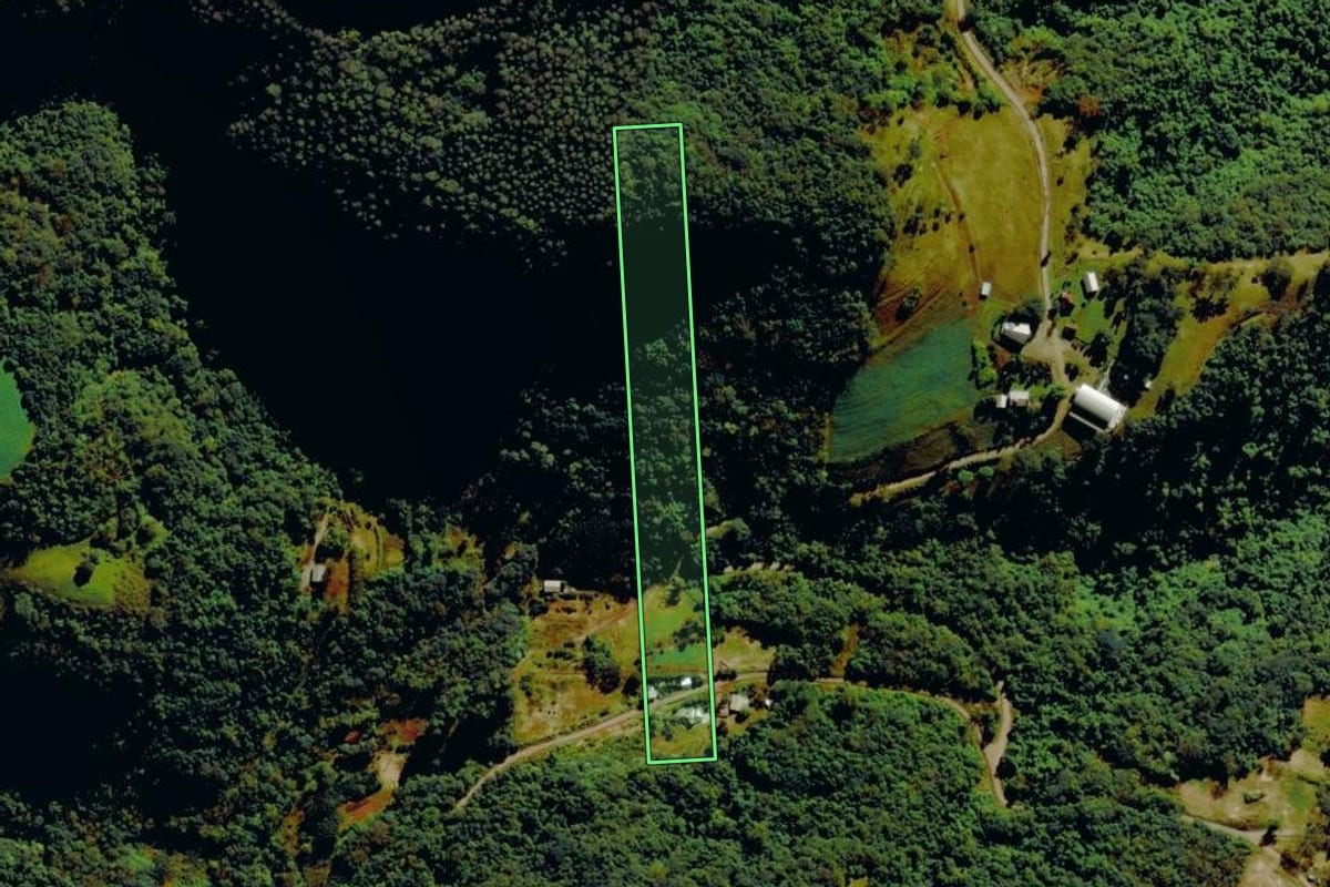 Imagem de satélite do imóvel rural em Carlos Barbosa (RS), com o contorno declarado no CAR desenhado por cima.