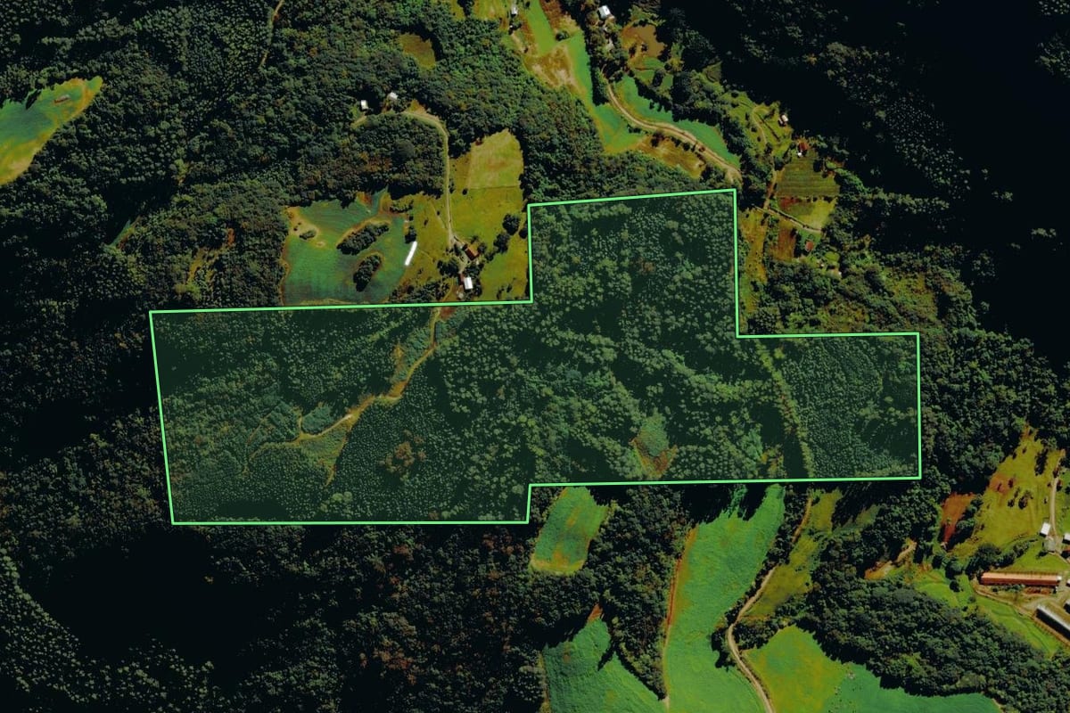 Imagem de satélite do imóvel rural em Carlos Barbosa (RS), com o contorno declarado no CAR desenhado por cima.
