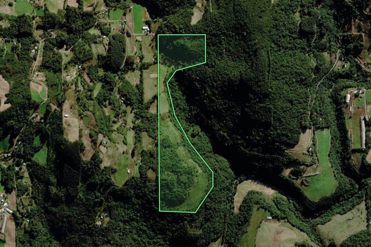 Imagem de satélite do imóvel rural em Carlos Barbosa (RS), com o contorno declarado no CAR desenhado por cima.