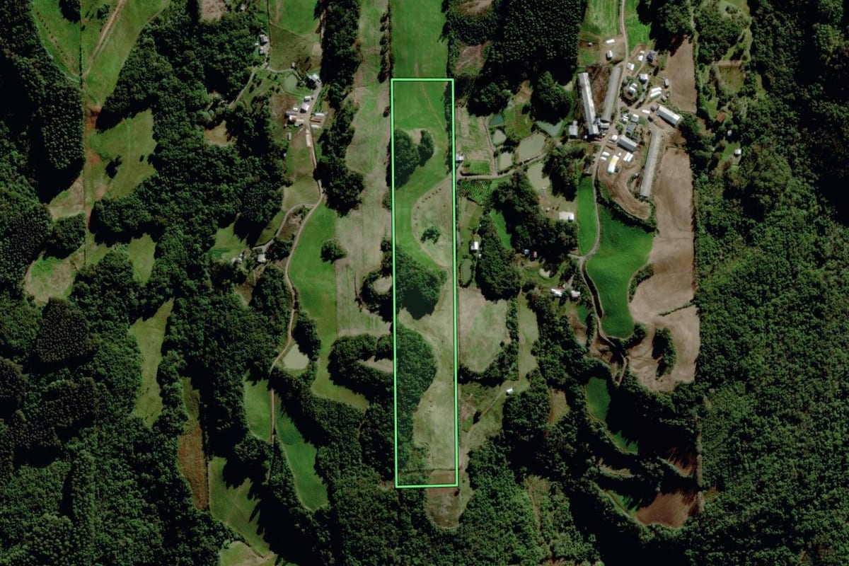 Imagem de satélite do imóvel rural em Carlos Barbosa (RS), com o contorno declarado no CAR desenhado por cima.