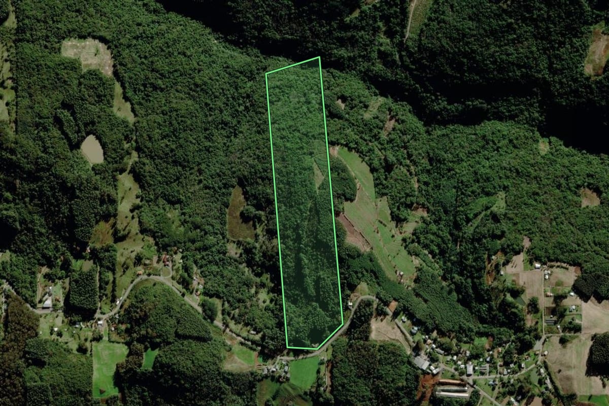Imagem de satélite do imóvel rural em Carlos Barbosa (RS), com o contorno declarado no CAR desenhado por cima.