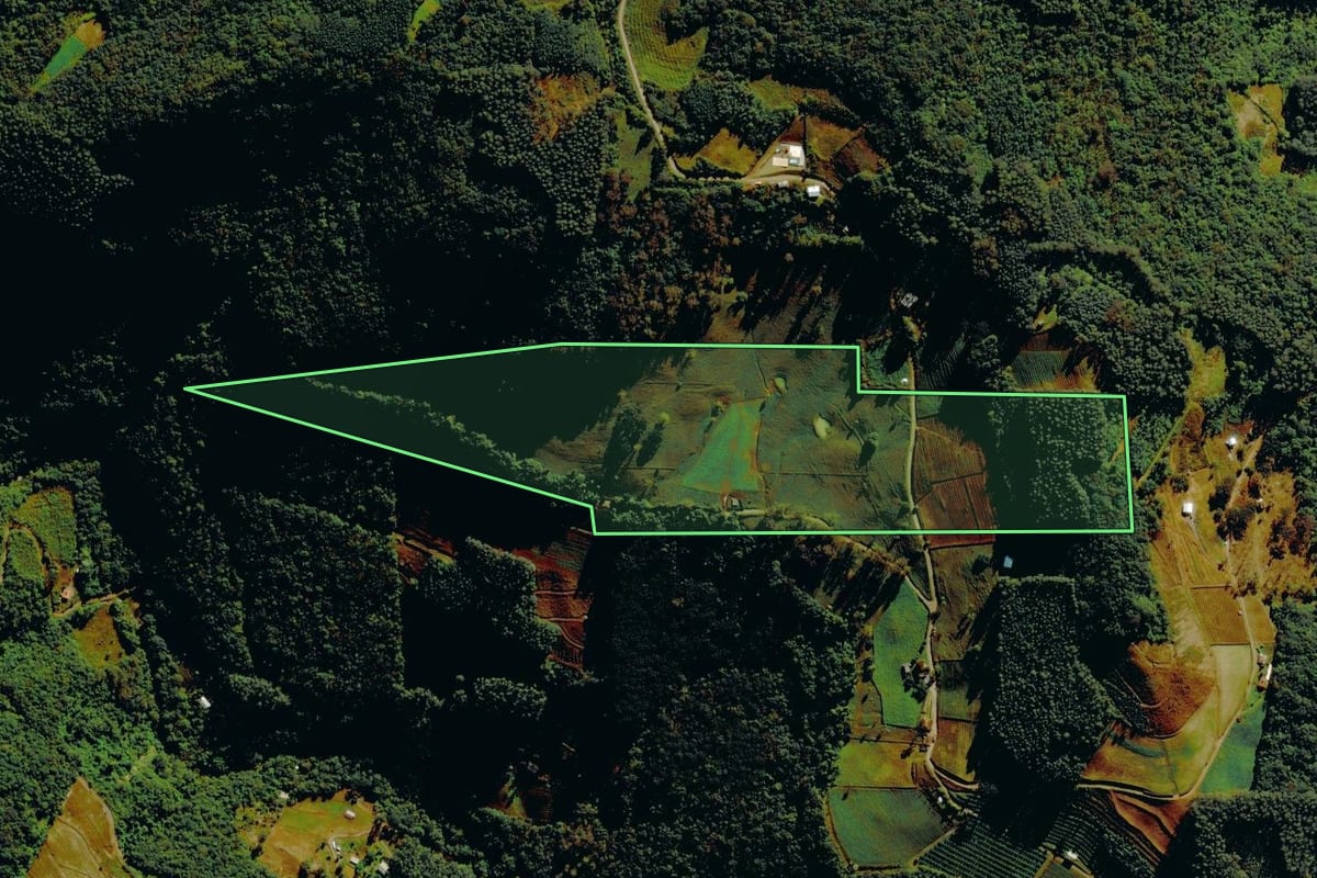 Imagem de satélite do imóvel rural em Carlos Barbosa (RS), com o contorno declarado no CAR desenhado por cima.