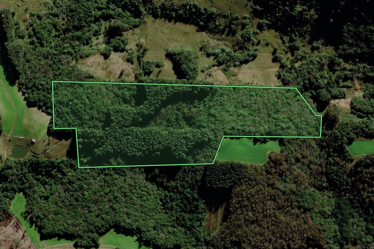 Imagem de satélite do imóvel rural em Carlos Barbosa (RS), com o contorno declarado no CAR desenhado por cima.