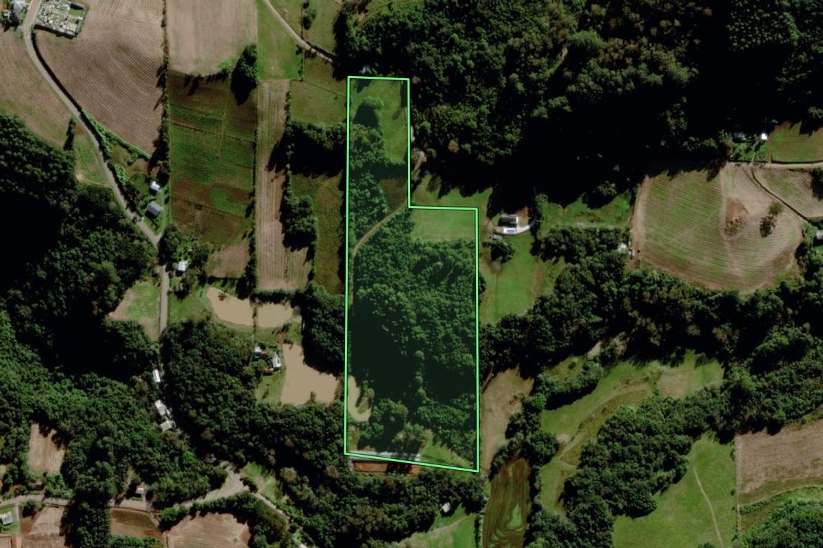 Imagem de satélite do imóvel rural em Carlos Barbosa (RS), com o contorno declarado no CAR desenhado por cima.