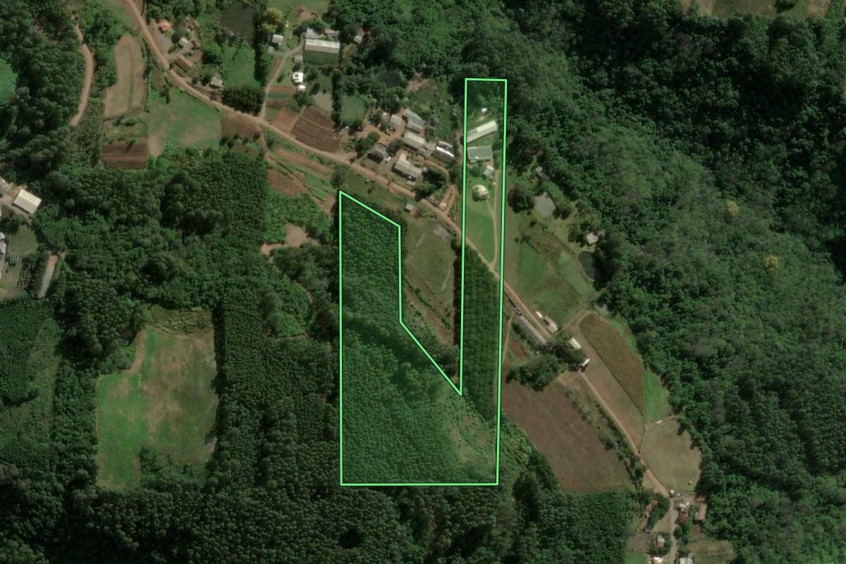 Imagem de satélite do imóvel rural em Carlos Barbosa (RS), com o contorno declarado no CAR desenhado por cima.