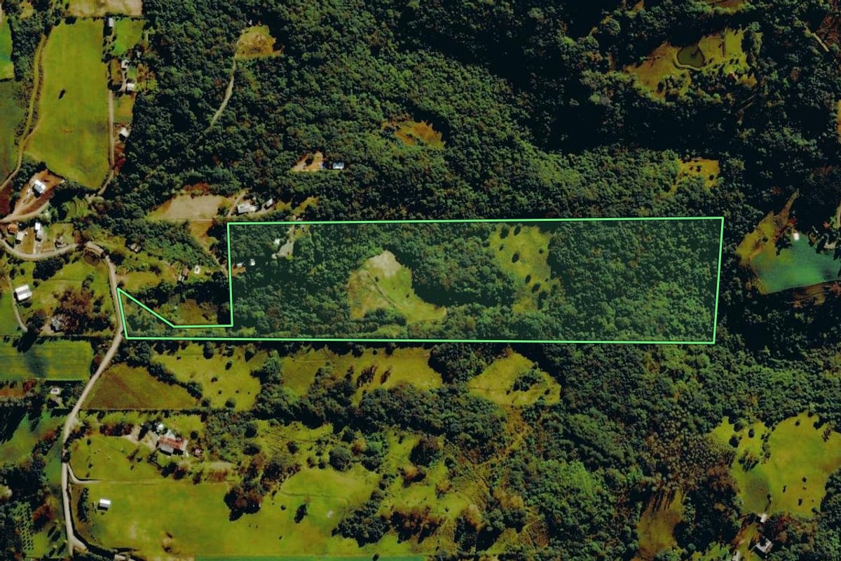 Imagem de satélite do imóvel rural em Carlos Barbosa (RS), com o contorno declarado no CAR desenhado por cima.