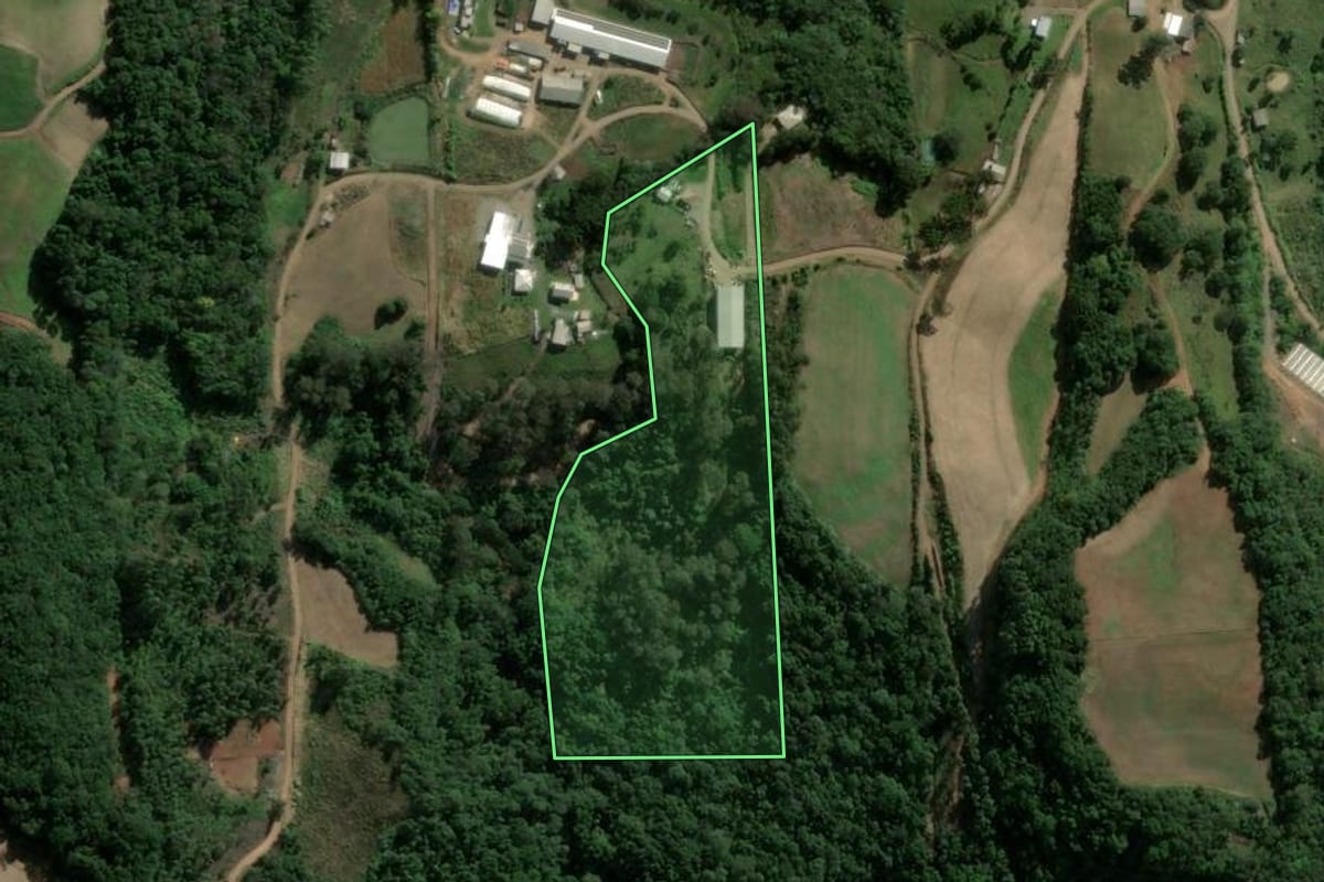 Imagem de satélite do imóvel rural em Carlos Barbosa (RS), com o contorno declarado no CAR desenhado por cima.