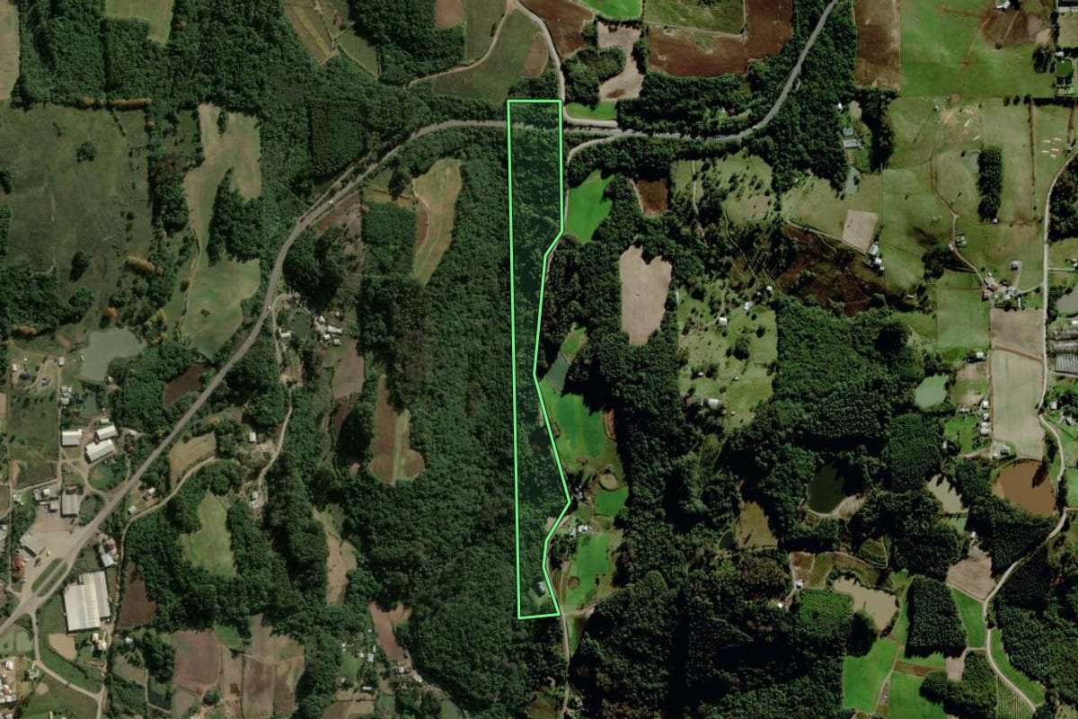 Imagem de satélite do imóvel rural em Carlos Barbosa (RS), com o contorno declarado no CAR desenhado por cima.