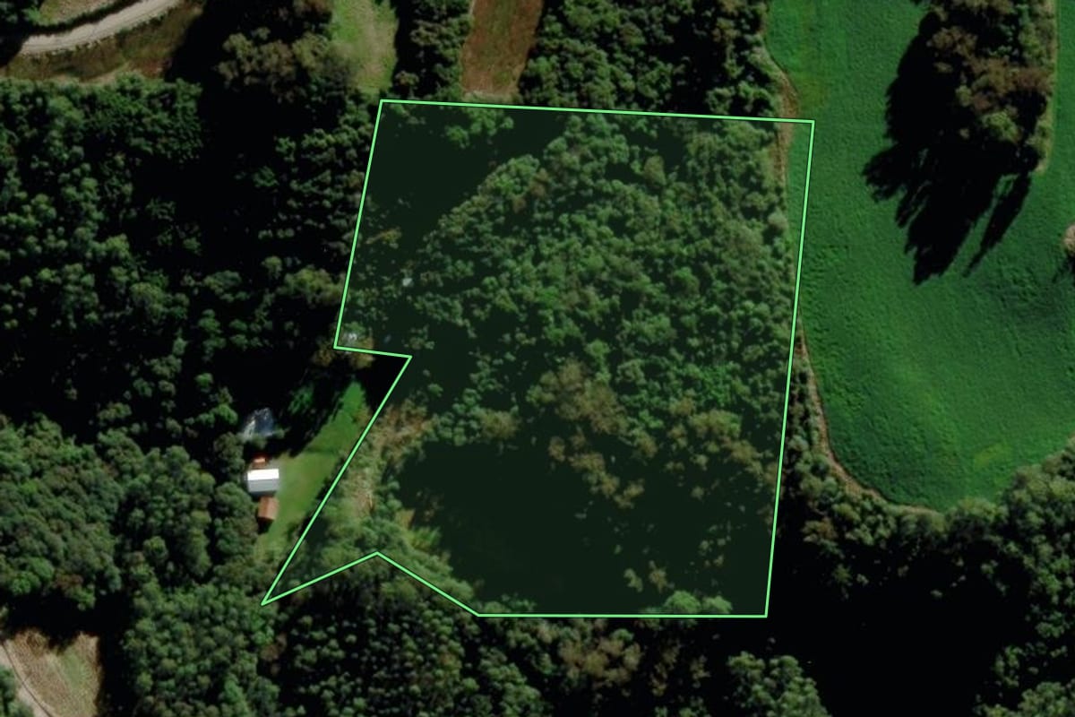 Imagem de satélite do imóvel rural em Carlos Barbosa (RS), com o contorno declarado no CAR desenhado por cima.