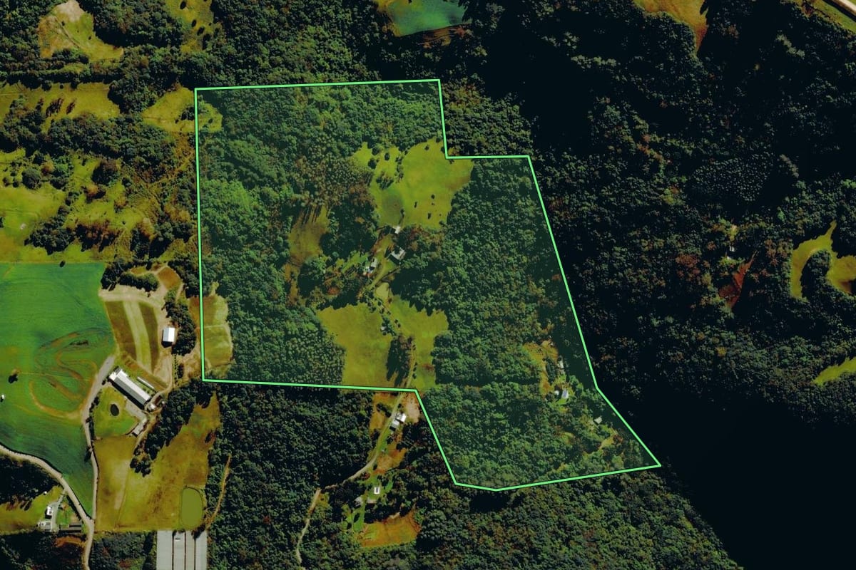 Imagem de satélite do imóvel rural em Carlos Barbosa (RS), com o contorno declarado no CAR desenhado por cima.