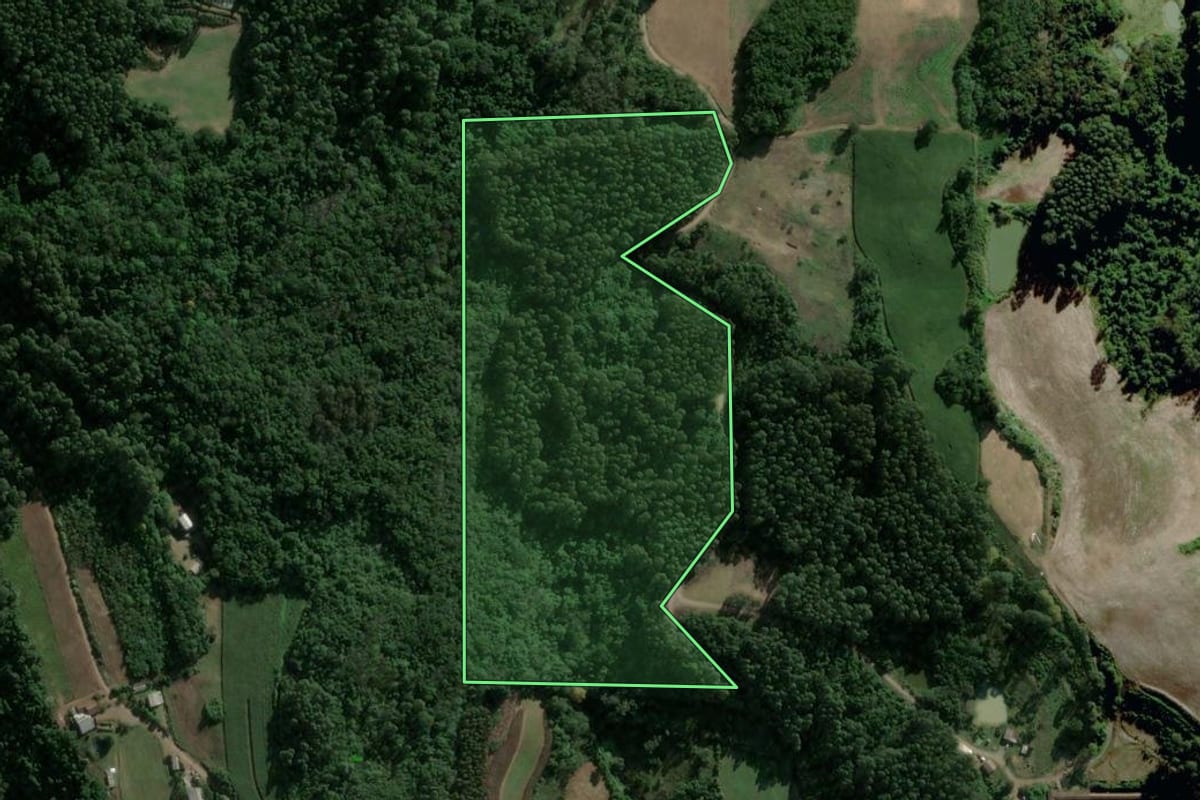Imagem de satélite do imóvel rural em Carlos Barbosa (RS), com o contorno declarado no CAR desenhado por cima.