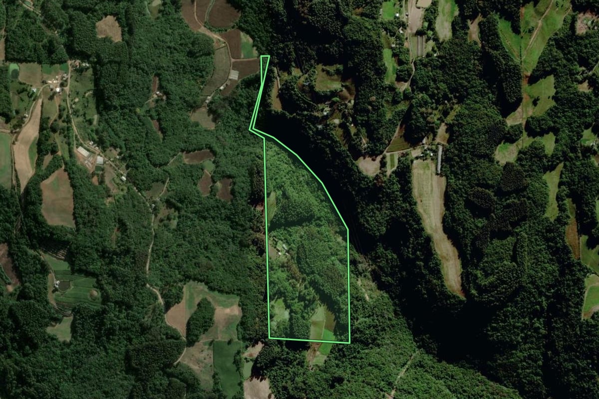 Imagem de satélite do imóvel rural em Carlos Barbosa (RS), com o contorno declarado no CAR desenhado por cima.