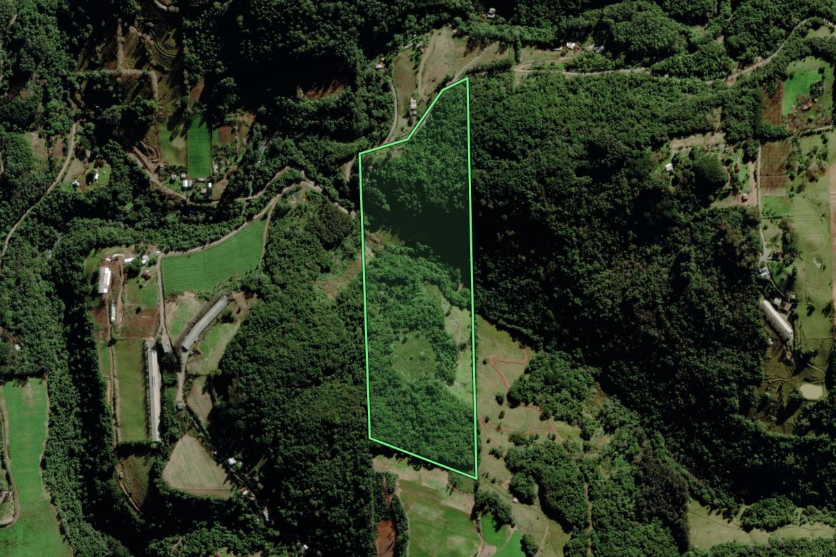 Imagem de satélite do imóvel rural em Carlos Barbosa (RS), com o contorno declarado no CAR desenhado por cima.