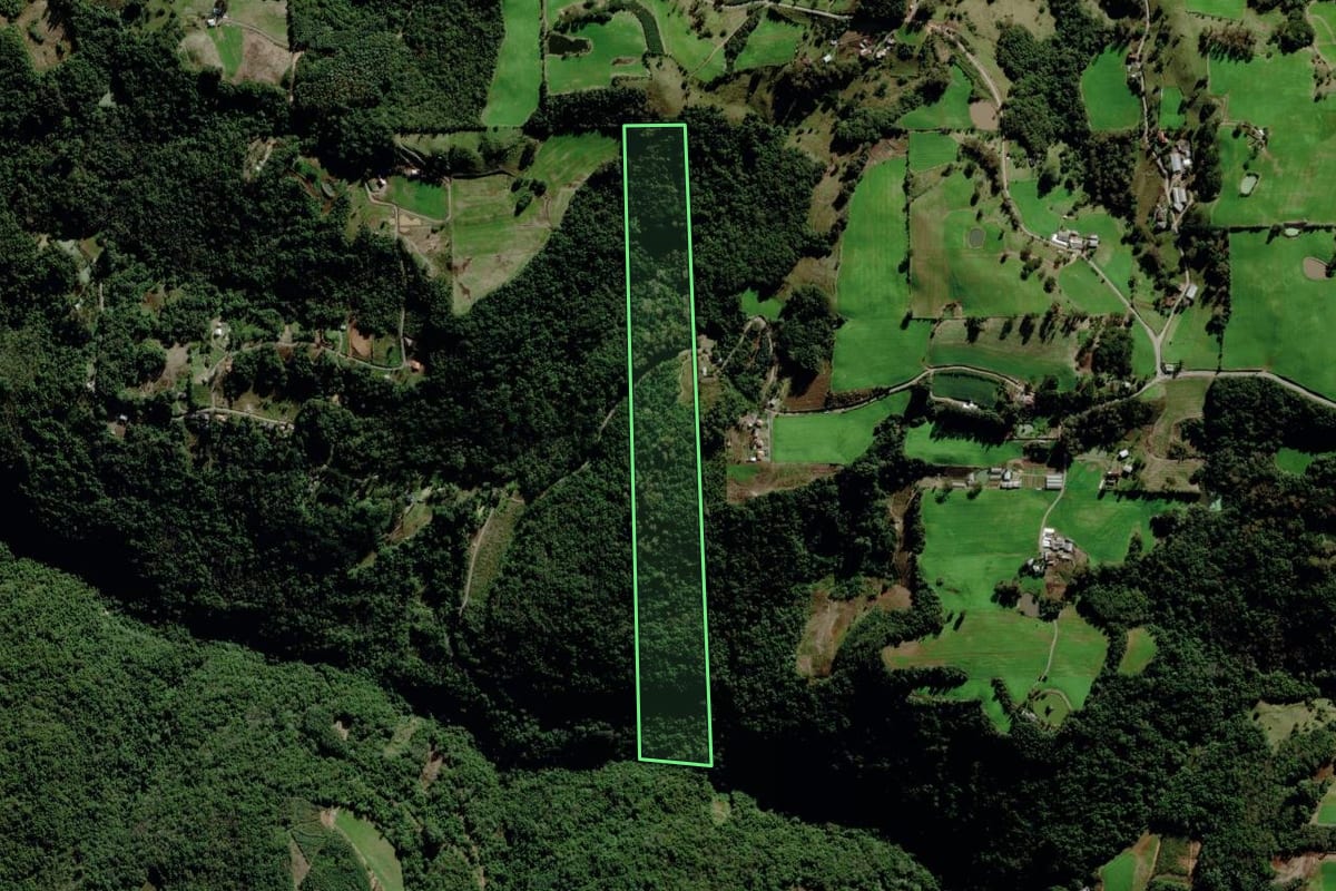 Imagem de satélite do imóvel rural em Carlos Barbosa (RS), com o contorno declarado no CAR desenhado por cima.