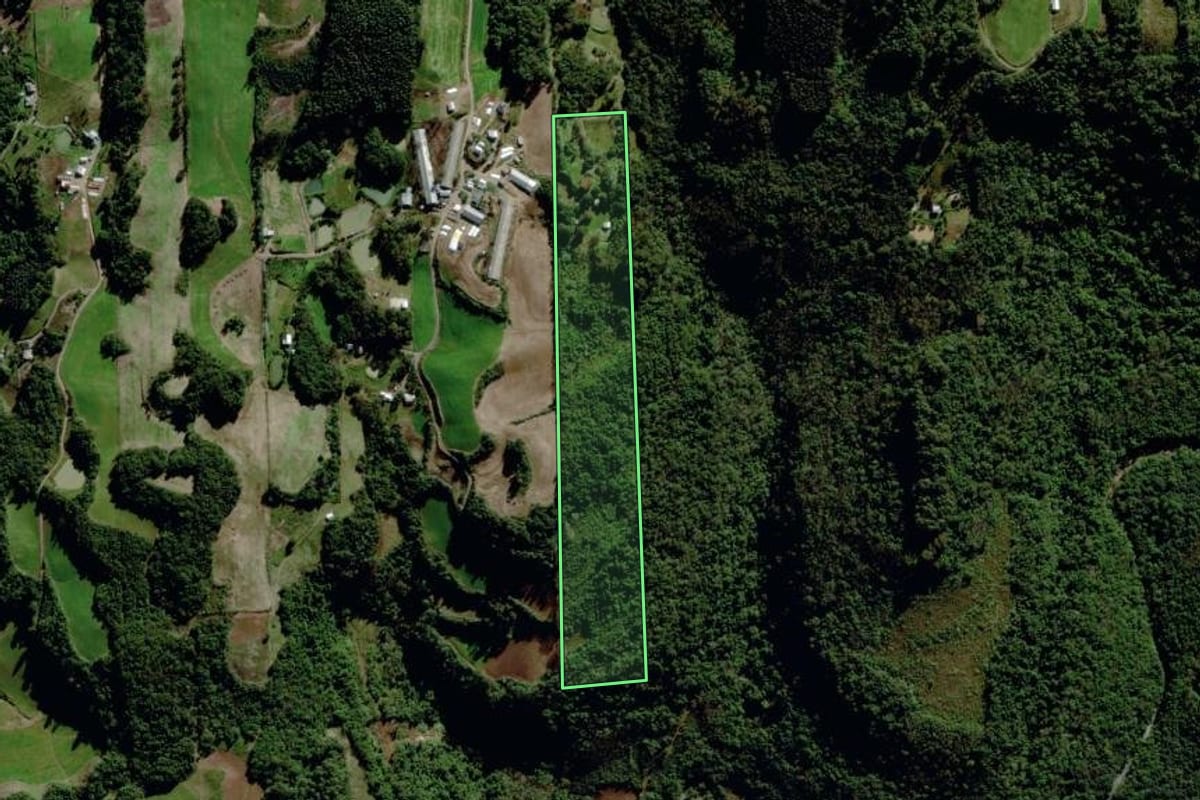 Imagem de satélite do imóvel rural em Carlos Barbosa (RS), com o contorno declarado no CAR desenhado por cima.